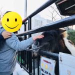 【じゅぴたぁ】こども動物園