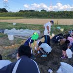 【Juno】芋堀りをしたよ🍠