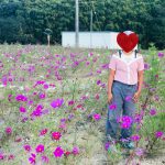 【  Juno  】コスモス畑🌼