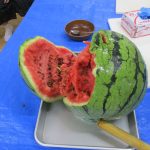 【Ma-Na】スイカ割り🍉