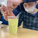 【ぽらりす】ぽらりす実験室