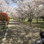 【So-La】お花見🌸