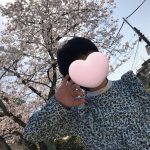 【Juno】桜が満開です🌸