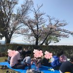 【Juno】お弁当作り🍙