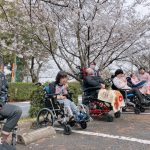 【Ma-Na】 お花見ドライブ！！