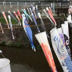 【Juno】ドライブレク🚙