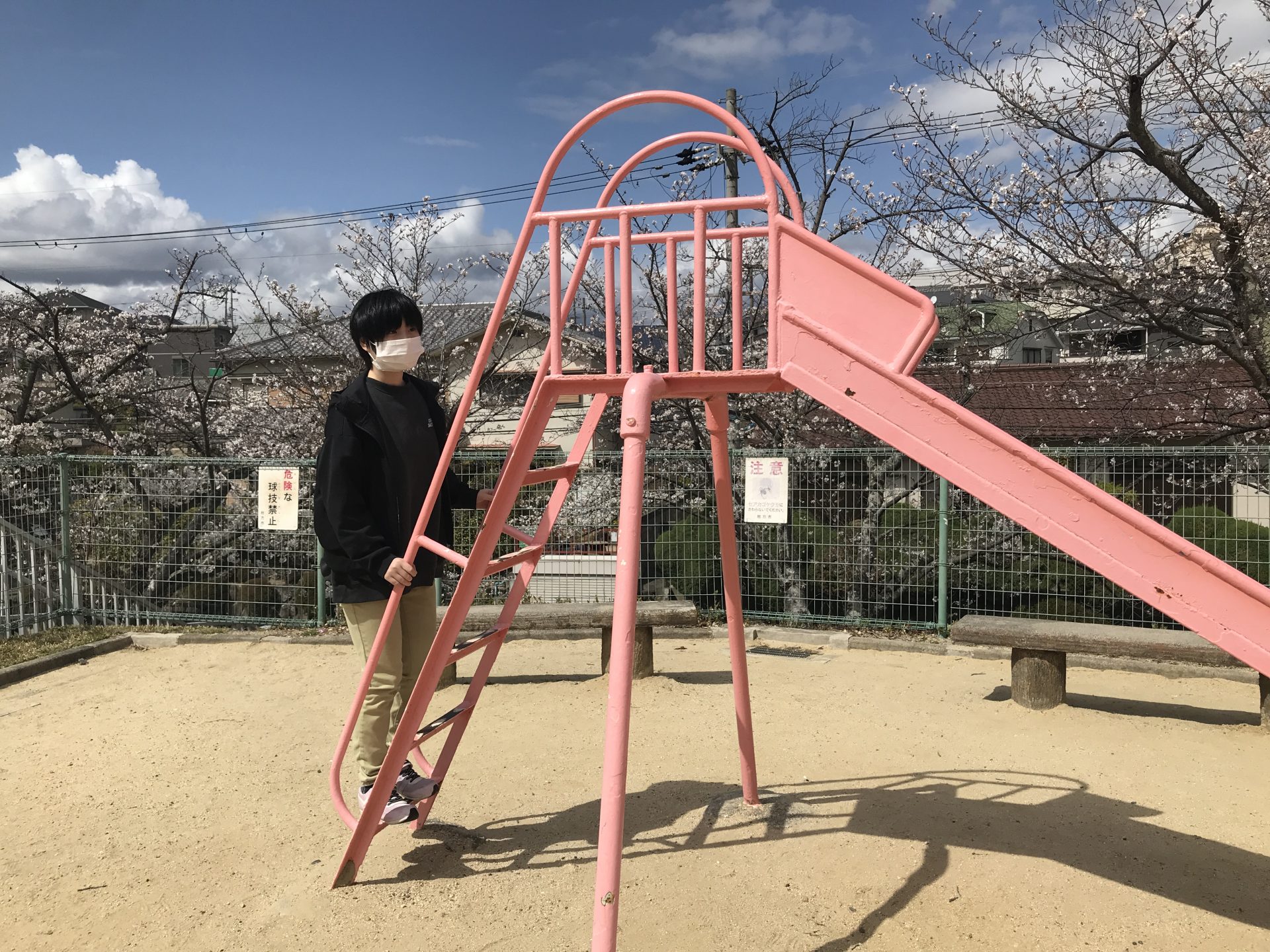 【Juno】お花見🌸