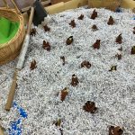 【ぽらりす】たけのこを掘り出そう❕