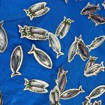 【ぽらりす】鰹の一本釣り