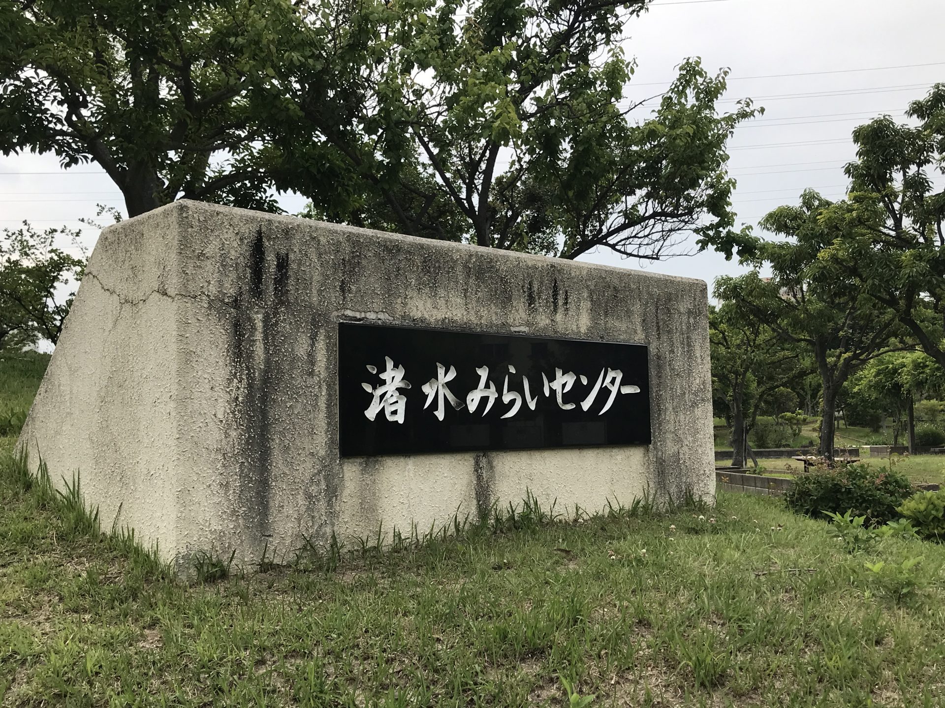 【Juno】菖蒲園🌤️