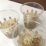 【Juno】みんなでおやつレク🎶